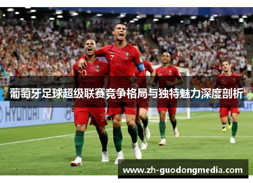 葡萄牙足球超级联赛竞争格局与独特魅力深度剖析