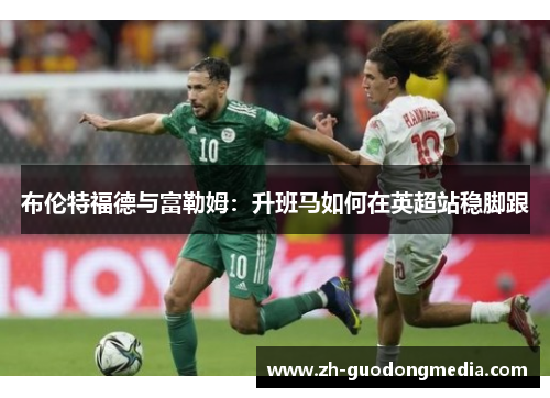 布伦特福德与富勒姆：升班马如何在英超站稳脚跟